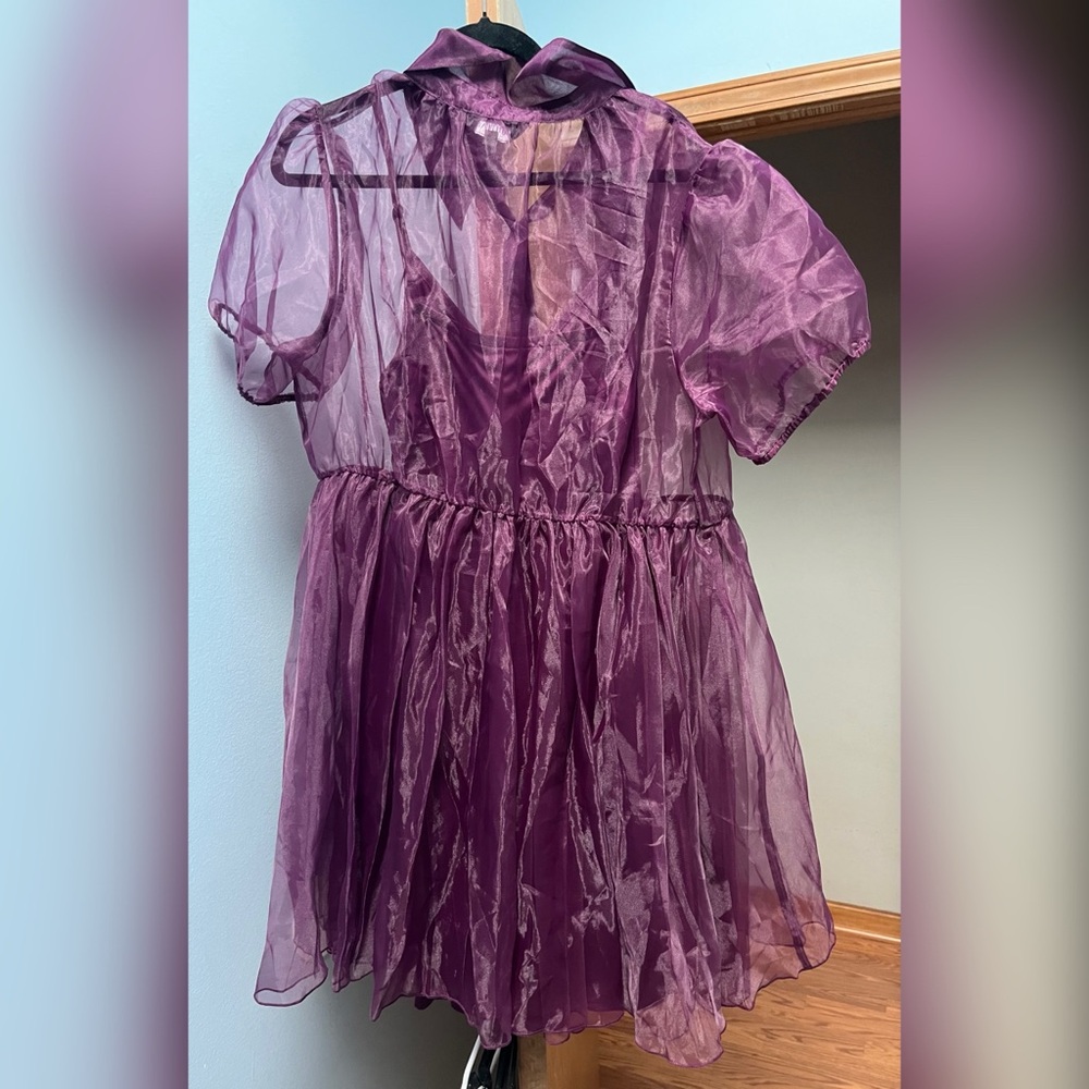 Sheer Organza A-Line Dress in Nightfall Purple - Picture 4 of 5